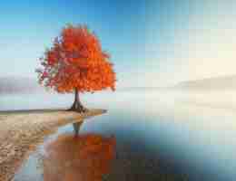 网​站‌日‍志​的‍作﻿用﻿